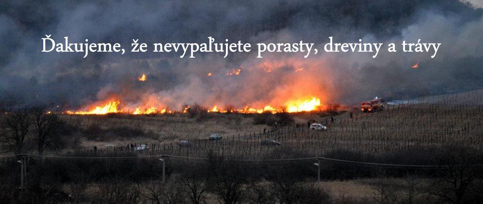 vypalovanie travy